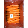 Rote Farbe frische schöne Karotten