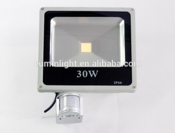 DC12V 30W outdoor led floodlight