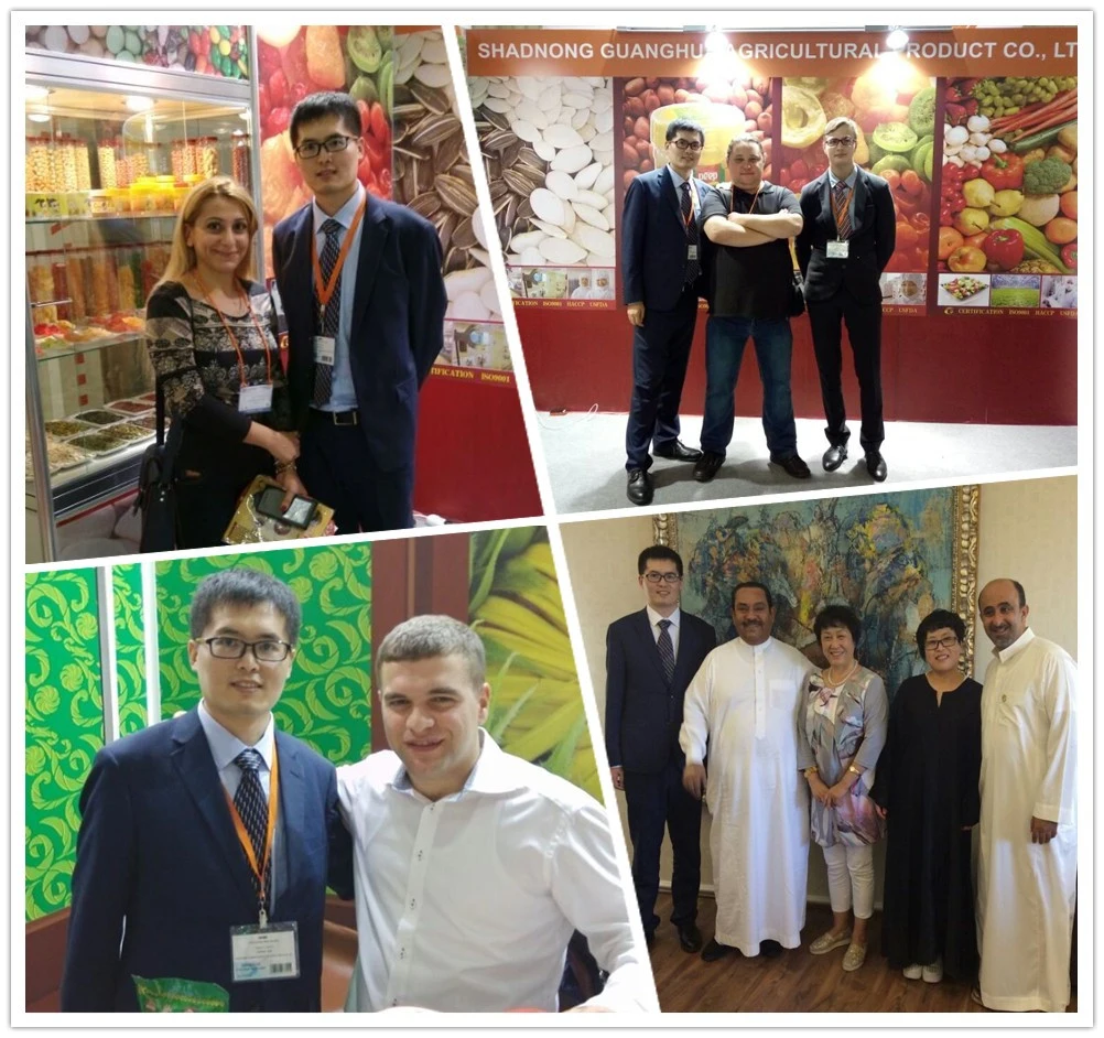 EU Top Quality Shine Skin Pumpkin Seeds From Tianjin