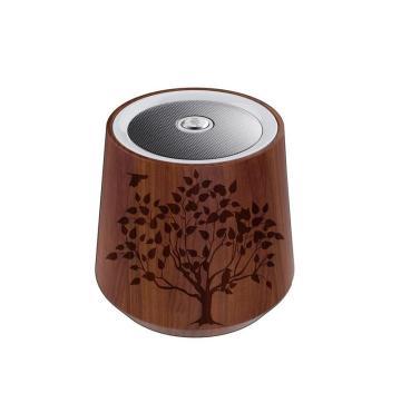 Hot selling Carton Cute wooden wooden speaker box