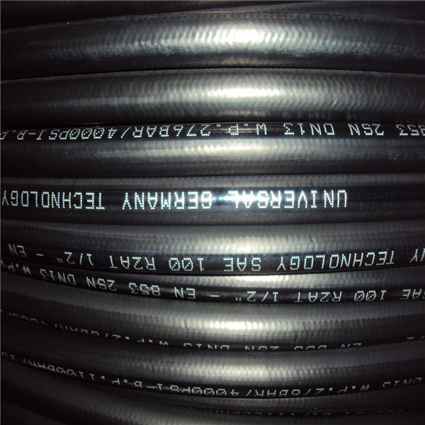 Hydroflex Dunlop Diamond PIX Polyflex euroflex aeroflex Hydraulic Hose EN 853 1SN - DIN 20022 1SN - SAE 100 R1 AT