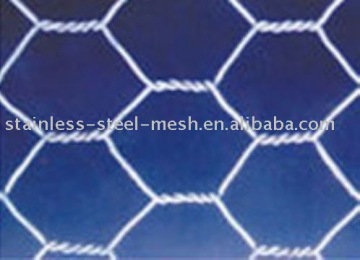 Hexagonal Iron Wire Netting