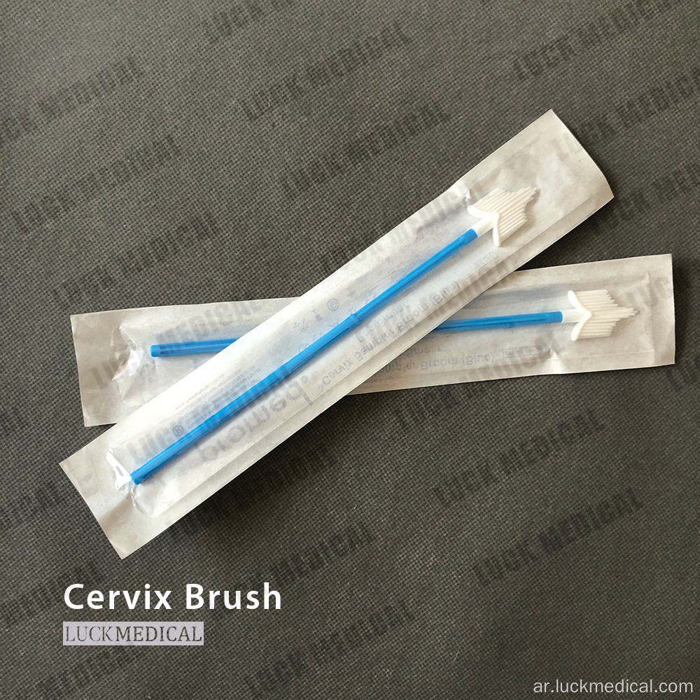 فرشاة عنق الرحم العقيمة cytobrush pap تشويه