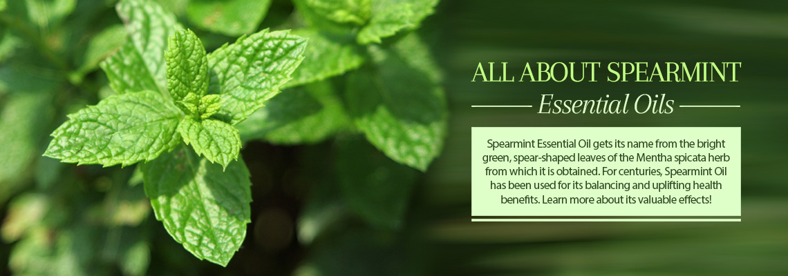 SpearmintEssentialOils