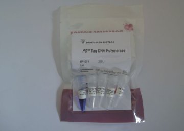 FS Taq DNA Polymerase