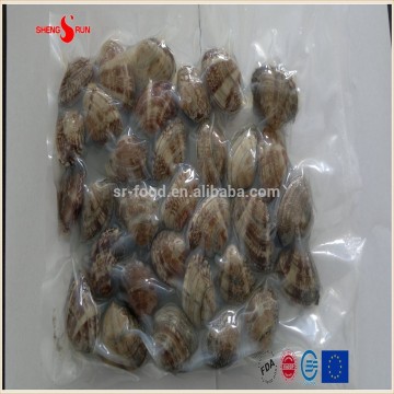 Vacuum -packed short necked clam in shell