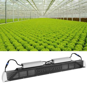 Long lifaspan led grow light for indoor growth