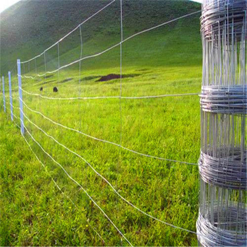 clôture de ferme de prairie galvanisée à chaud