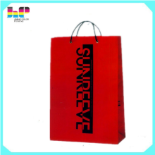 Custom Recyclable Advertising Paper Bag Printing with All Sizes