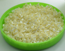 Plastic Bio-Degradation Masterbatch