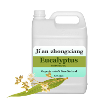 Aromatherapy Eucalyptus Essential Oil bulk Eucalyptus Globulus oil 100% Pure Natural