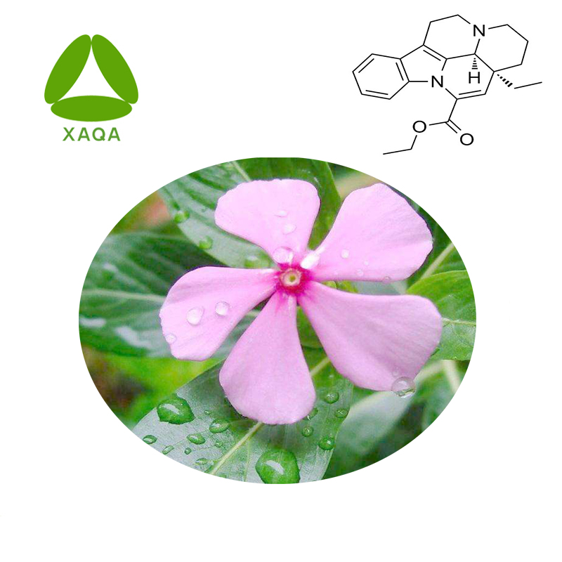 100% pur vasodilatateur naturel Vinca Minor Linn Extrait en poudre Vinpocetine 98% prix