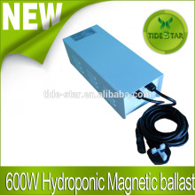Hps grow light 600w Magnetic Ballast