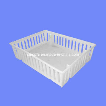 Baby Chick Case / Chick Box