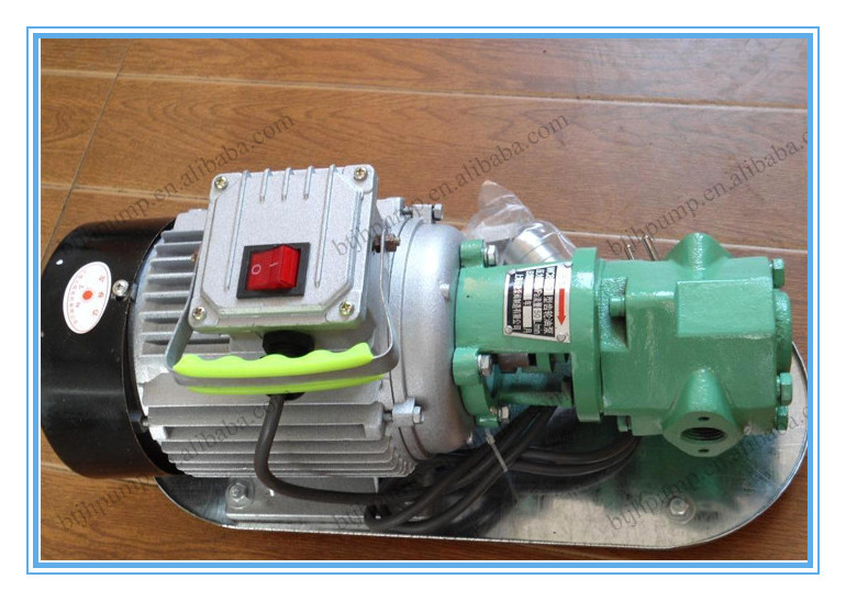 Single-phase 220V portable gear pump