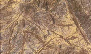 Rainforest Brown Marble