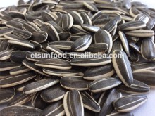 Chinese factories of raw sunflower seeds