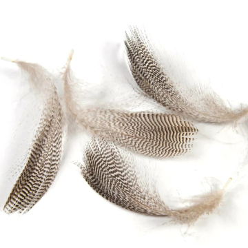 Natural Barred Mallard Duck Flank Feathers and Wild Goose Hair for Fly Tying