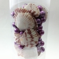 Mode Gift natuurlijke Seashell Craft met veelkleurige
