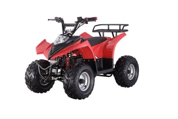 electric atv 36V electric ATV 500W electric atv with CE (FA-EA501)