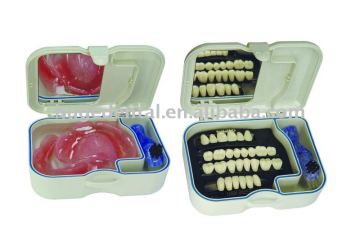 Acrylic teeth 4 LAYER KAIJING Denture Box