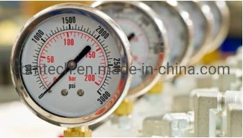 Stainless Steel Pressure Gauge