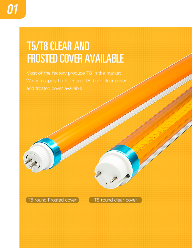 T5 T8 yellow color LED tube light to be Lighting expert on Industry