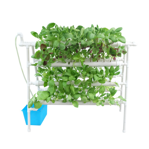 Sistema di coltivazione idroponica verticale Hydroponics NFT