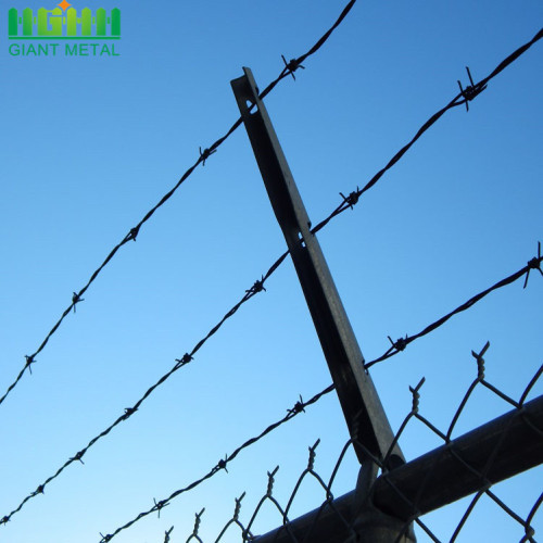 Low carbon steel wire fence barbed wire