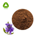 Vitex Agnus Castus Extrakt Mönchspfeffer Vitexin 3% Pulver