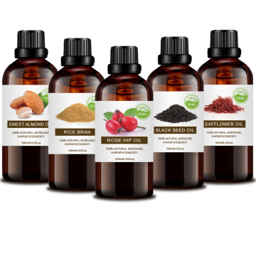 Pure Organic Camellia Semilla Oil Cuidada para la piel