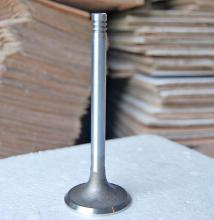 Engine Valves 226B