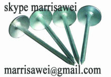 umbrella headed roofing nail