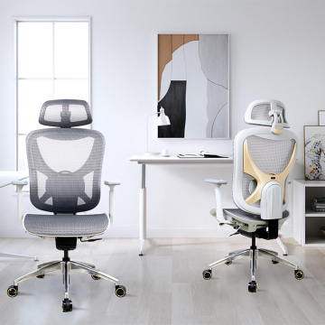 Customizable Ergonomic Executive Office Chairs
