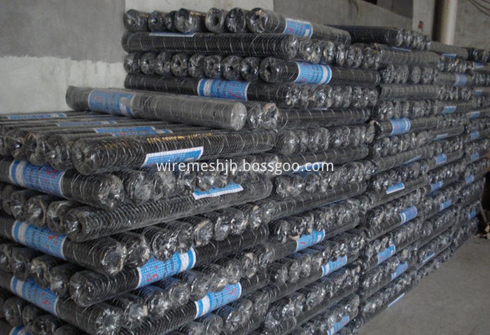 Galvanized Hexagonal Wire Netting