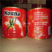 Double Concentrated Tomato Paste