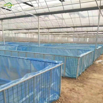 waterproof blue transparent fish pond