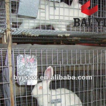 Rabbit Breeding Cages