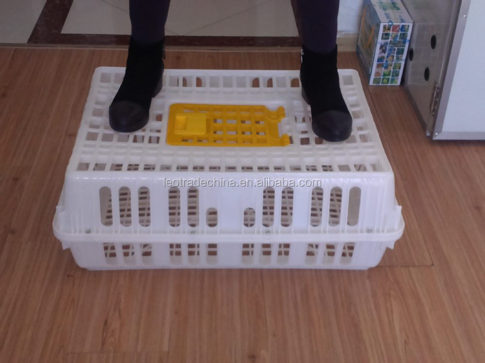 live chicken transport box/plastic broiler transport crate