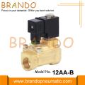 3/4 İnç Su Kilitleme Solenoid Valfı 6V 12V