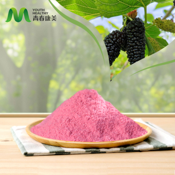 High Quality Mulberry Fruit Powder