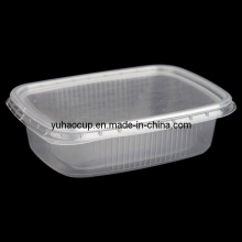 Disposable Food Container for fruit