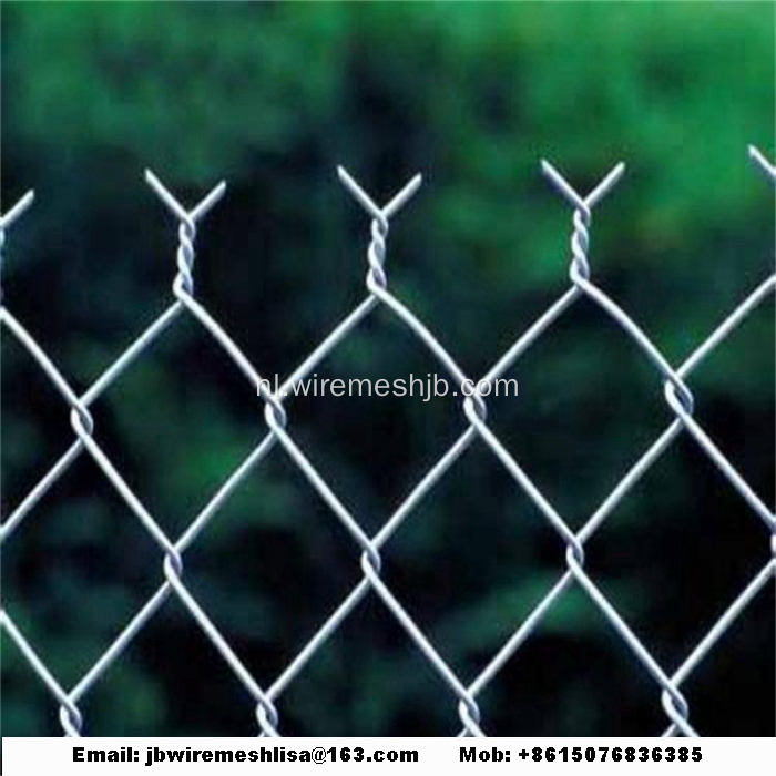 Gegalvaniseerde en PVC gecoate ketting Link Fence