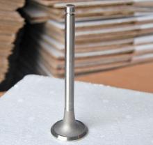Engine Valves YN4102QBZ