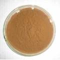 Banaba-Blatt-Extrakt-Puder-Corosolsäure 30% 4547-24-4