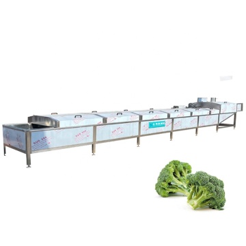 Customized Salad Production Line - Vegetable Blancher & Broccoli Blanching Machine