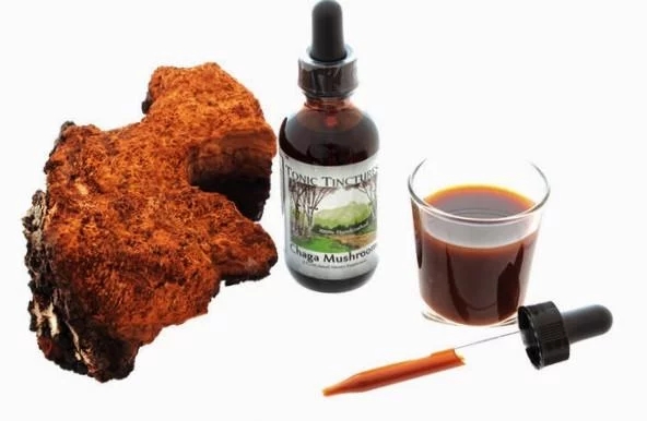 Chaga Mushroom Extract