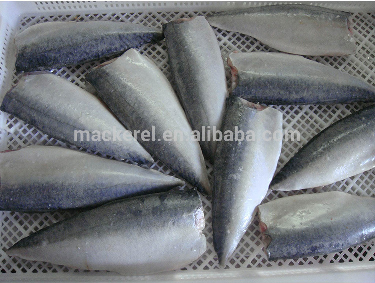 mackerel fillet