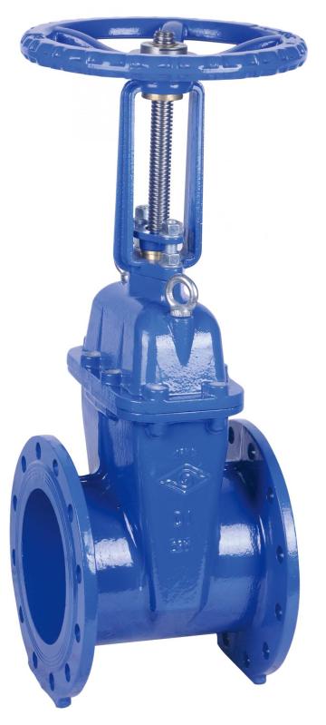 DIN EN 1171 Flanged Resilient OS&Y Gate Valve