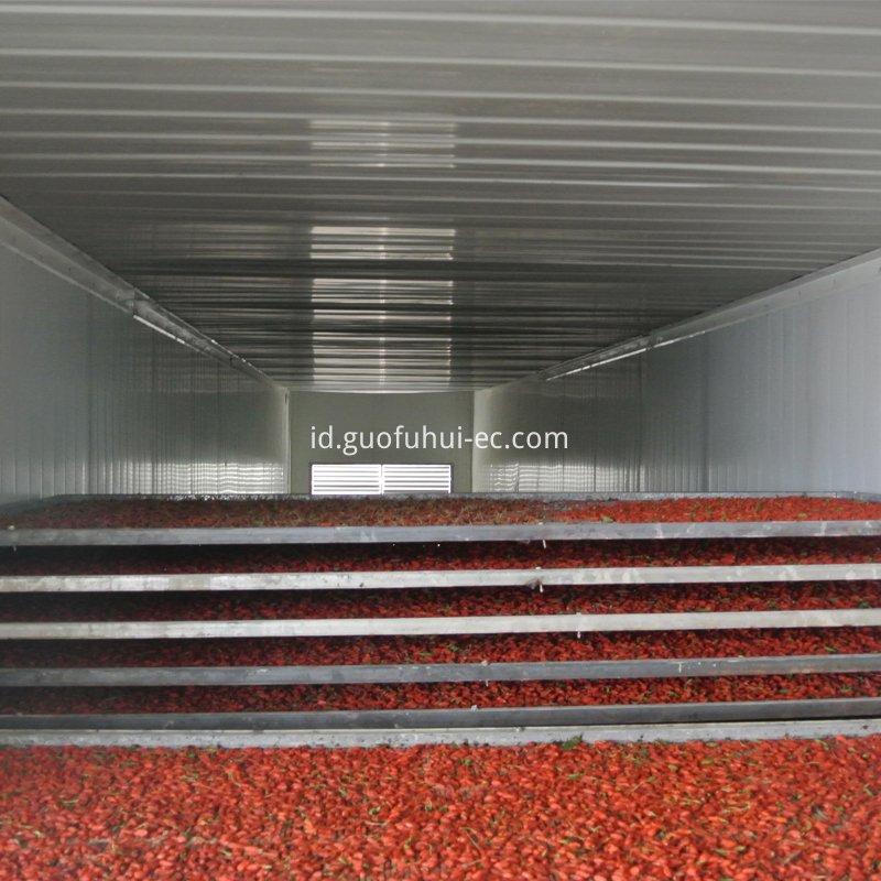 Goji Berry Merah bukan Spesifikasi Red Goji Berry not Specifications